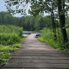 База отдыха Колпино, Смоленская область