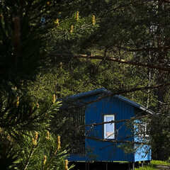 Загородный комплекс Ягодная Деревня, Республика Карелия