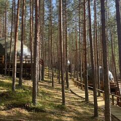 Глэмпинг Мистик Хиллс, Приозерск, Ленинградская область