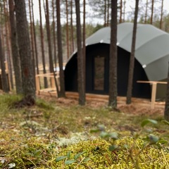 Глэмпинг Мистик Хиллс, Приозерск, Ленинградская область