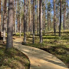 Глэмпинг Мистик Хиллс, Приозерск, Ленинградская область