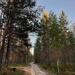 Глэмпинг Мистик Хиллс, Приозерск, Ленинградская область