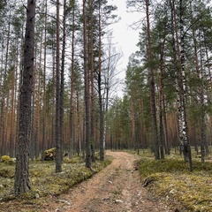Глэмпинг Мистик Хиллс, Приозерск, Ленинградская область