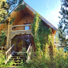 База отдыха Белая морошка, Ярославская область