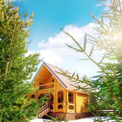 База отдыха Белая морошка, Ярославская область