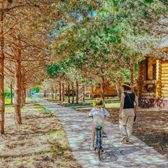 База отдыха Белая морошка, Ярославская область