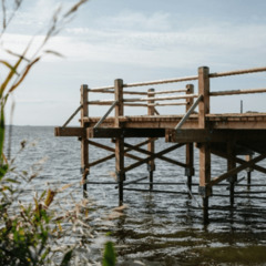 База отдыха Белая морошка, Ярославская область