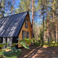 Парк-отель Хвоя, Республика Карелия