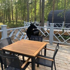 Парк-отель Хвоя, Республика Карелия