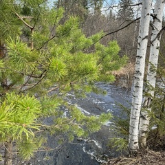 Турбаза ЭкоДача, Свердловская область