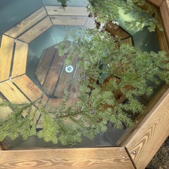 Турбаза ЭкоДача, Свердловская область