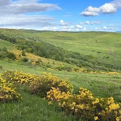 Глэмпинг Медовые холмы, Ставропольский край
