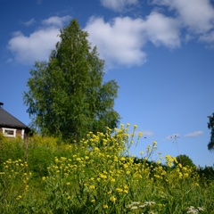 Эко-отель Еремичи, Пермский край