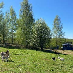 Эко-отель Еремичи, Пермский край