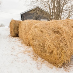 Эко-отель Еремичи, Пермский край