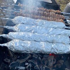 Дом Пески, Ленинградская область