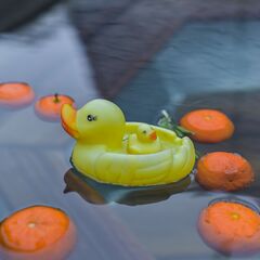 Эко-отель Доволити, Московская область