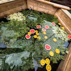 Эко-отель Доволити, Московская область