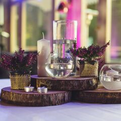 Эко-комплекс Вереск, Ленинградская область