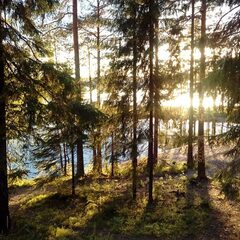 Эко-комплекс Вереск, Ленинградская область