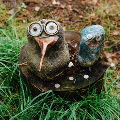 Эко-комплекс Вереск, Ленинградская область