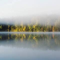 Эко-комплекс Вереск, Ленинградская область