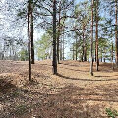 Парк-отель Лесная Ривьера, Ленинградская область