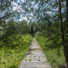 Отель Новая Салынь, Брянская область