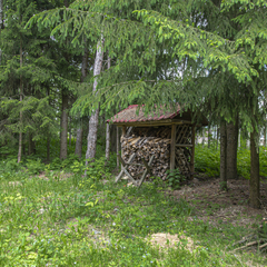 Отель Новая Салынь, Брянская область