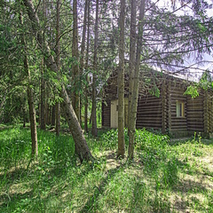 Отель Новая Салынь, Брянская область