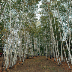 Комплекс отдыха Заимка, Оренбургская область