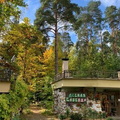 База отдыха Лесная слобода, Московская область