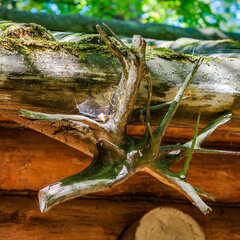 База отдыха Лесная слобода, Московская область