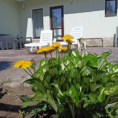 Гостевой дом В Еремейцево , Ярославская область