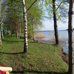 Гостевой дом В Еремейцево , Ярославская область