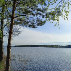 Гостевой дом В Еремейцево , Ярославская область