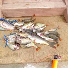 База отдыха Две реки, Астраханская область