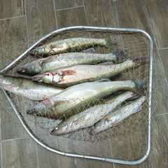 База отдыха Две реки, Астраханская область