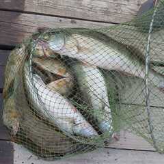 База отдыха Две реки, Астраханская область