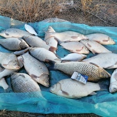 База отдыха Две реки, Астраханская область