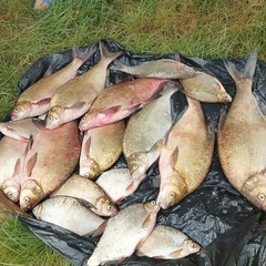 База отдыха Две реки, Астраханская область