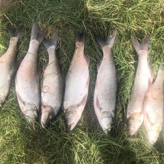 База отдыха Две реки, Астраханская область