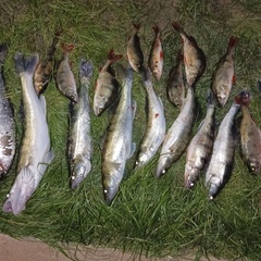 База отдыха Две реки, Астраханская область