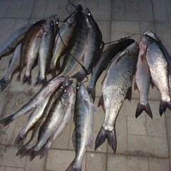 База отдыха Две реки, Астраханская область