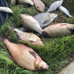 База отдыха Две реки, Астраханская область