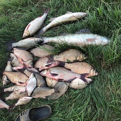 База отдыха Две реки, Астраханская область