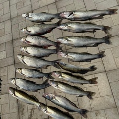 База отдыха Две реки, Астраханская область