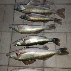 База отдыха Две реки, Астраханская область