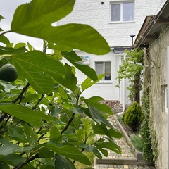 Гостевой дом KizilHouse, Крым