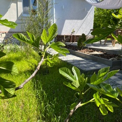 Гостевой дом KizilHouse, Крым